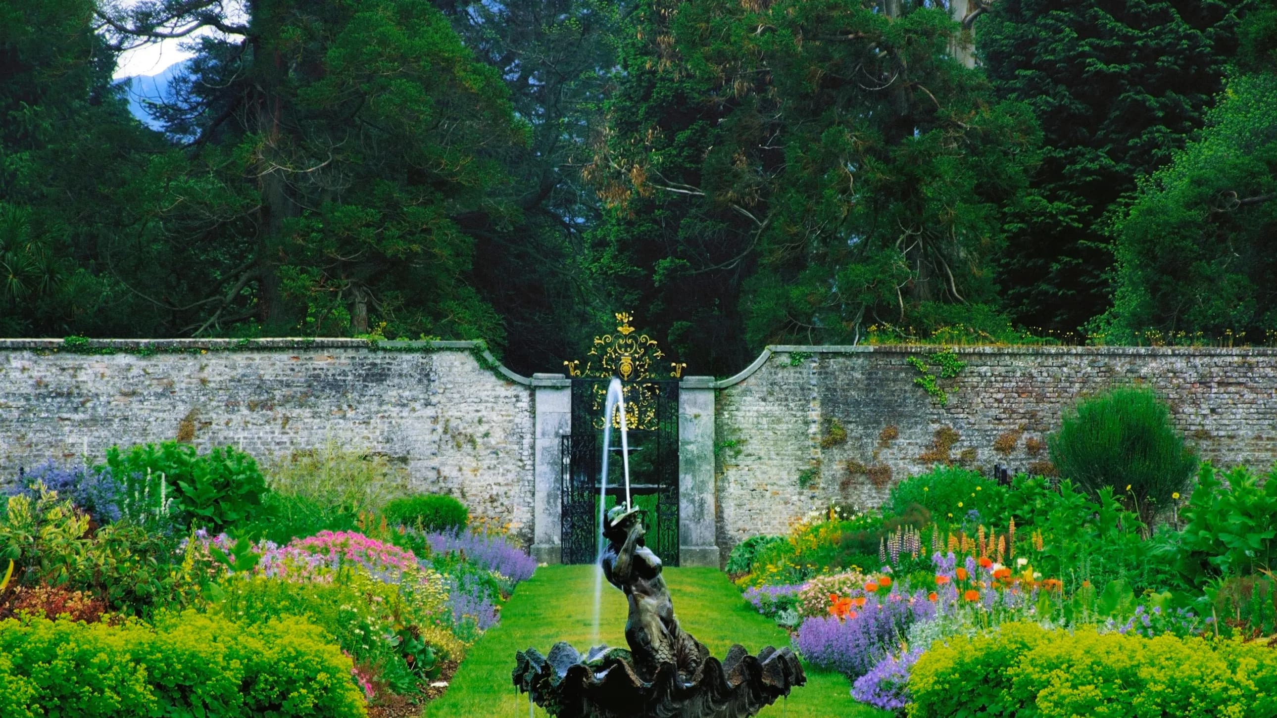 Gardening work photo 5